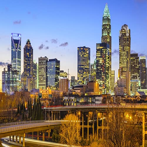 Charlotte Angel Connection by William Bissett CFP