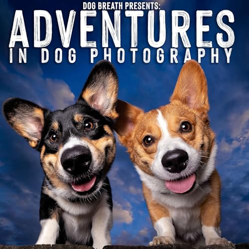 Adventures in Dog Photography by Dog Breath Photography