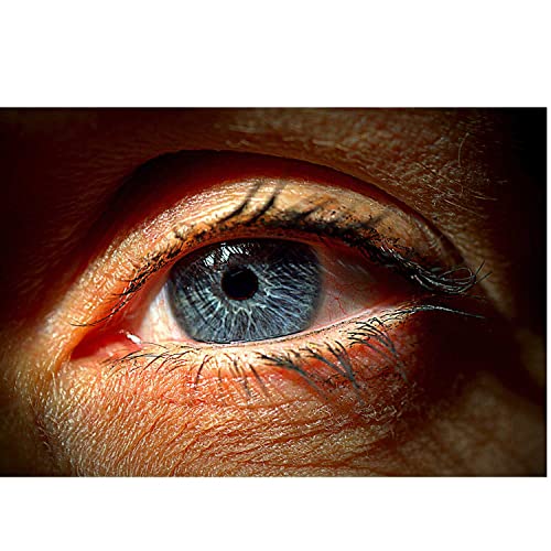 The Healthy Metaverse by Eran Orr