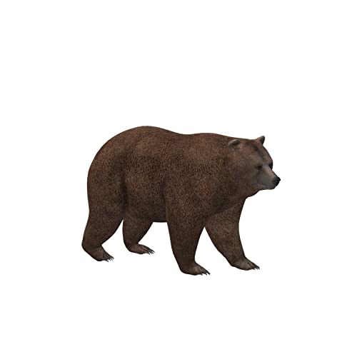 Meditation with the Reiki Bear by Altair S