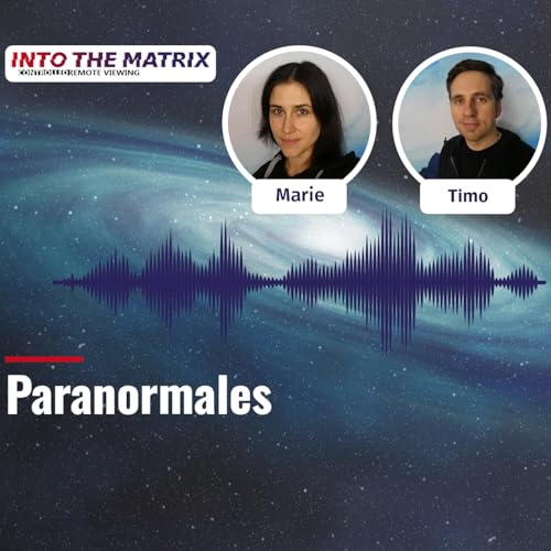 into the matrix - Paranormales by Marie Priebusch und Timo Féret into the matrix