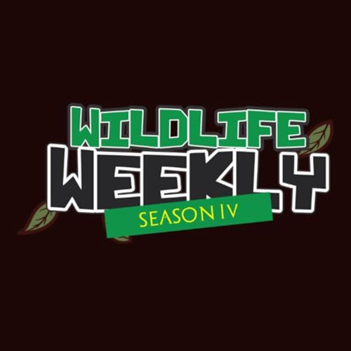 Wildlife Weekly by Wildlife Weekly