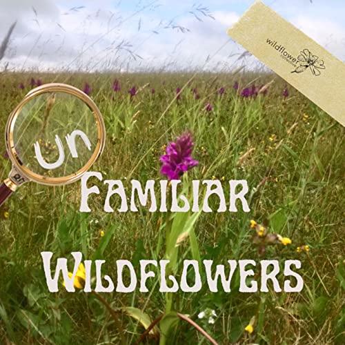 Unfamiliar Wildflowers by Wildflower Collective