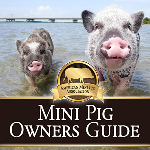 Mini Pig Owners Guide Expanded 2nd Edition by Stephanie Matlock