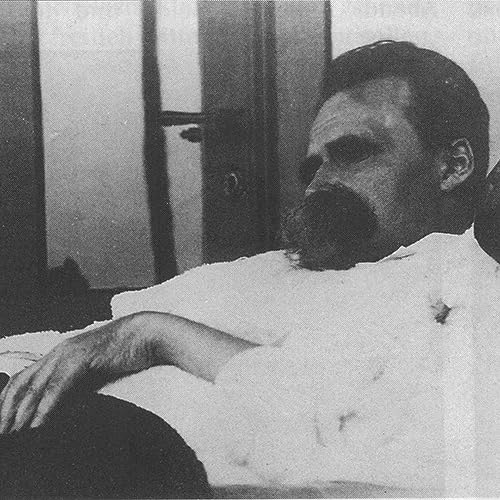 Getting Angry About Nietzsche by Gerard Krasnopolski Leonard Hamou