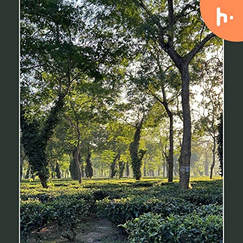 Guitar notes by SIDDHANT Gawai by Ruturaj Ghongade