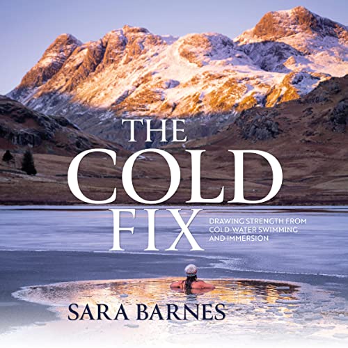 The Cold Fix by Sara Barnes