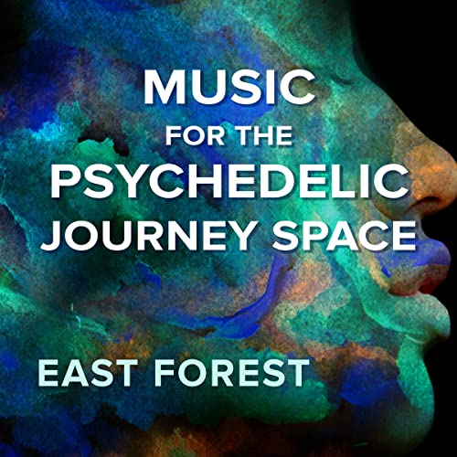 Music for the Psychedelic Journey Space&nbsp;