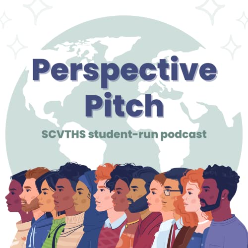 Perspective Pitch by Meghan Welch