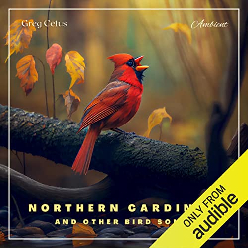 Northern Cardinal and Other Bird Songs by Greg Cetus