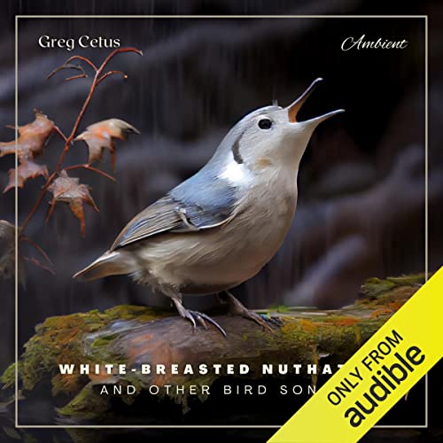White-Breasted Nuthatch and Other Bird Songs by Greg Cetus