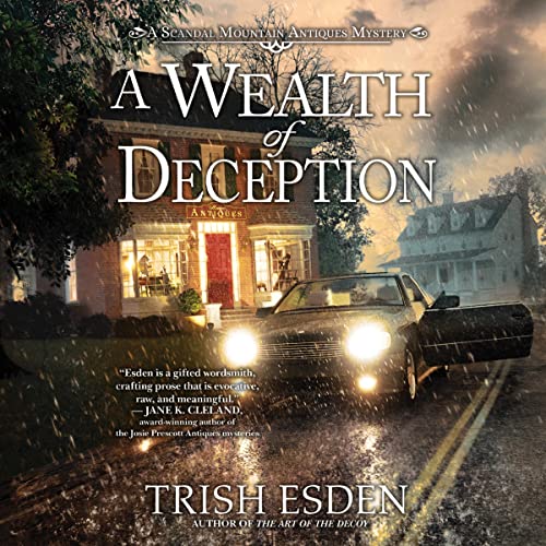 A Wealth of Deception by Trish Esden