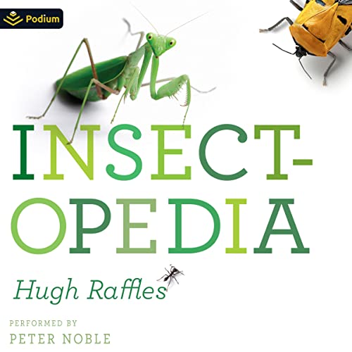 Insectopedia by Hugh Raffles