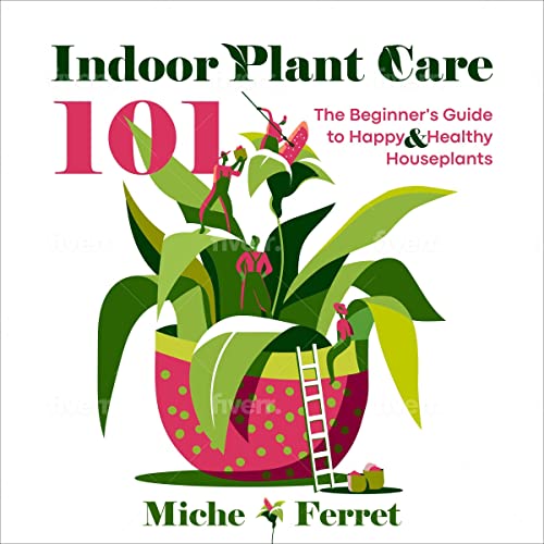 Indoor Plant Care 101