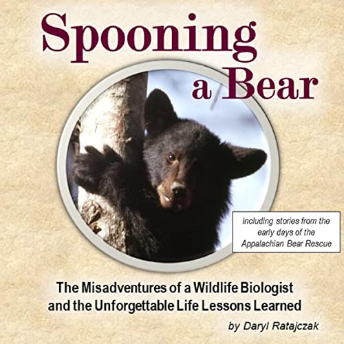 Spooning a Bear by Daryl Ratajczak