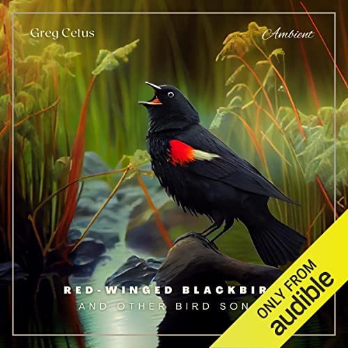 Red-winged Blackbird and Other Bird Songs by Greg Cetus