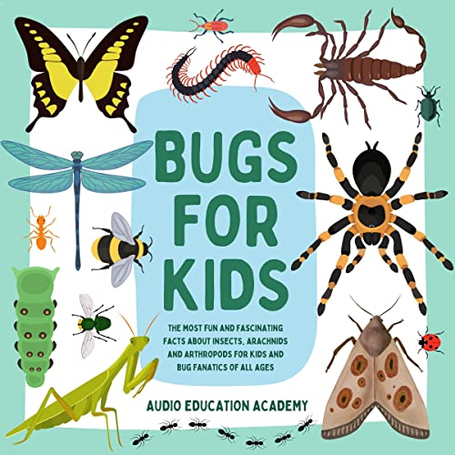 Bugs for Kids