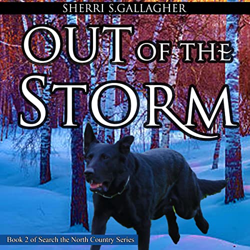 Out of the Storm