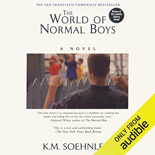 The World of Normal Boys