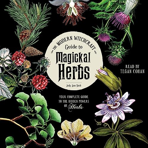 The Modern Witchcraft Guide to Magickal Herbs by Judy Ann Nock