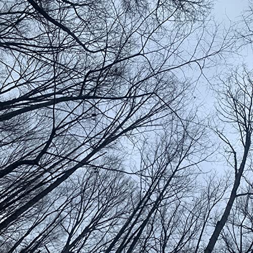 Technotwerps by Techno Twerps