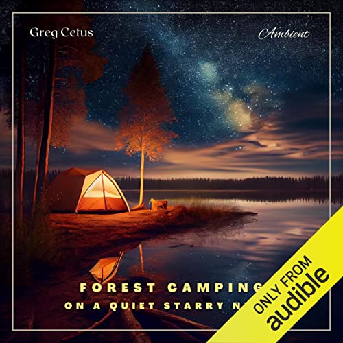 Forest Camping on a Quiet Starry Night