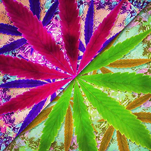 Dab Discourse S1E1 - Join us at Cliff by Jackson Freitag & Hari Iyer