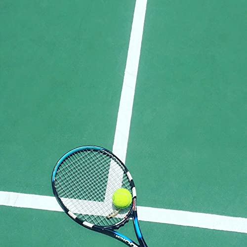 Tennis Bytes by Bhushan Sardesai