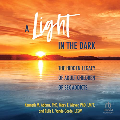 A Light in the Dark by Kenneth M. Adams PhD