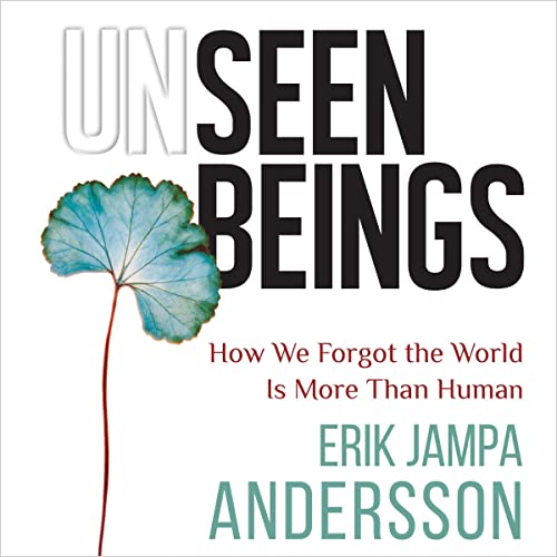 Unseen Beings by Erik Jampa Andersson