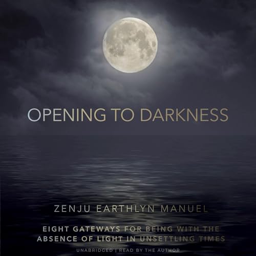 Opening to Darkness by Zenju Earthlyn Manuel