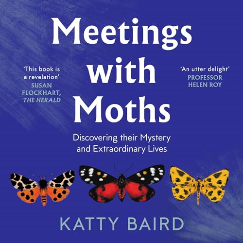 Meetings with Moths by Katty Baird