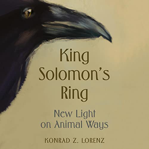 King Solomon's Ring