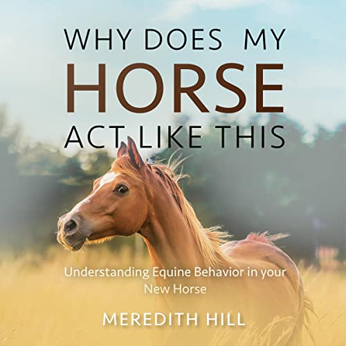 Why Does My Horse Act Like This? by Meredith Hill