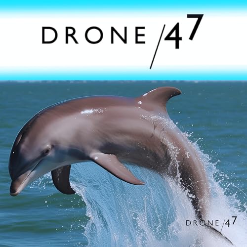 〘DRONE / 47〙ドローン操縦・点検撮影・空撮・案件獲得・Webマーケティングなどについて発信しています。 by ドローンPILOTこーじ 