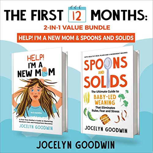 The First 12 Months by Jocelyn Goodwin
