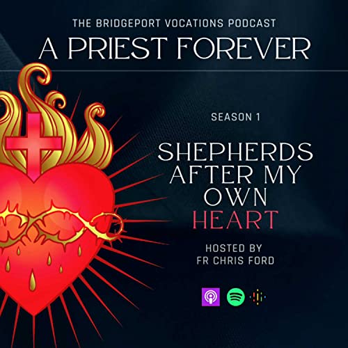 A Priest Forever by BridgeportPriest