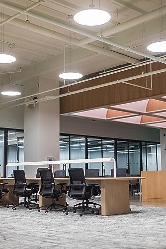 Vaciado de oficinas y despachos en Barcelona EcoServeis