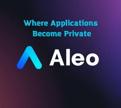 About blockchain Aleo by bizzyn