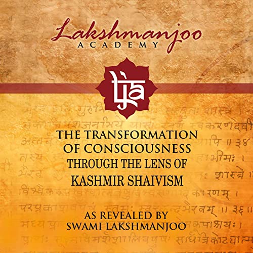 What is the reality of supreme consciousness? – the essence of all Tantras by Unknown