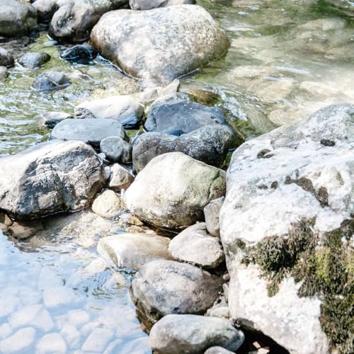 MEDITATION: SPECIAL PLACE GUIDED IMAGERY by Unknown