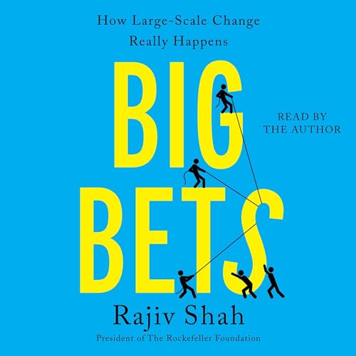 Big Bets by Rajiv Shah