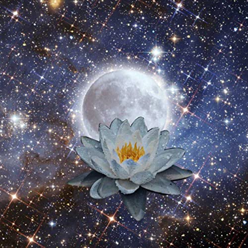 Spiritual Mfers by Apollo India and Ezral