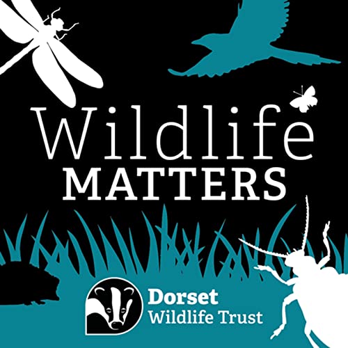 Wildlife Matters by Dorset Wildlife Trust