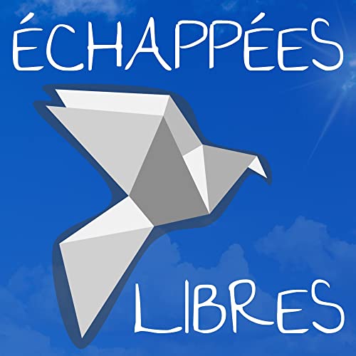 states of flow - échappées libres podcast by states of flow - échappées libres podcast