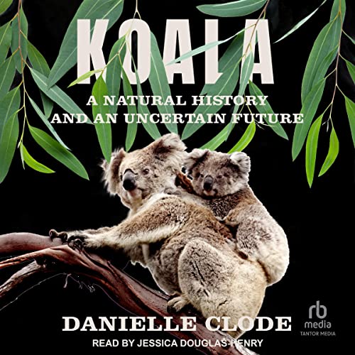 Koala by Danielle Clode