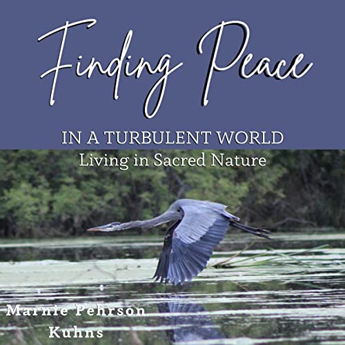 Finding Peace in a Turbulent World