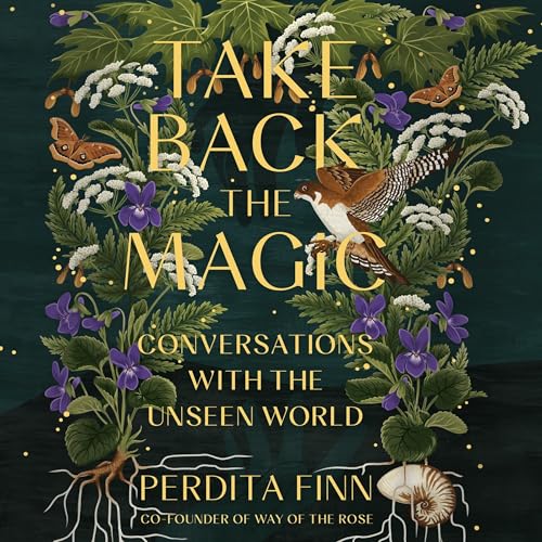 Take Back the Magic by Perdita Finn