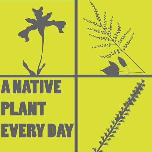 A Forb That Does Not Flower by Unknown