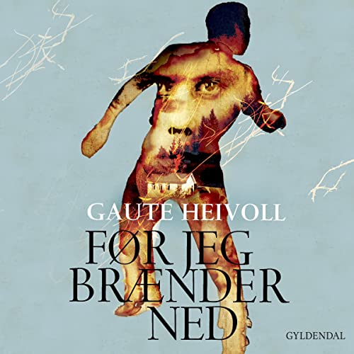 Før jeg brænder ned by Gaute Heivoll